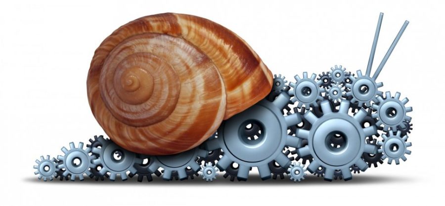 Slow Technology Adoption